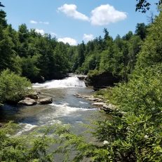 Stream Restoration Level I