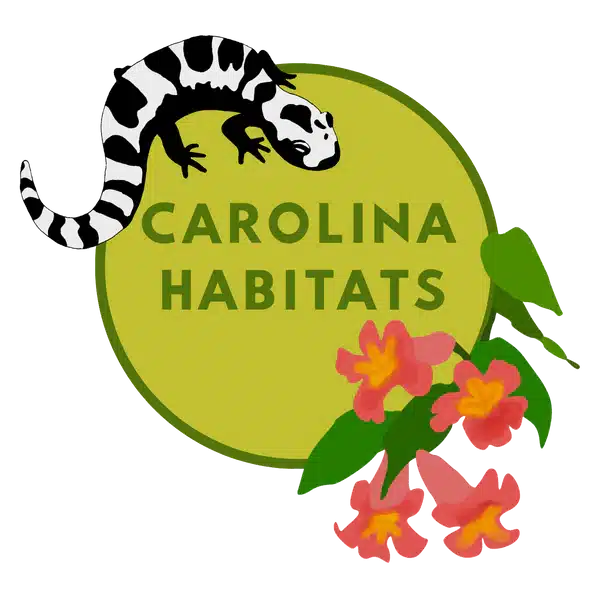 Carolina Habitats